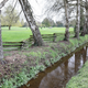 Illustration for article titled Pics from the (Stable)side: 2018-04-15 to Southlands